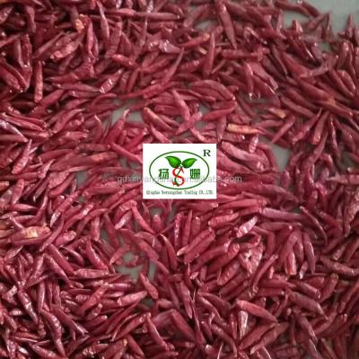 China CHILLI /DRIED CHILLI/CHINA (HOT) No.1 for sale