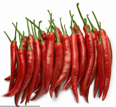 China DRY RED (HOT) CHILI PEPPERS/CHINA CHILI PEPPERS/RED CHILI PRICES zu verkaufen