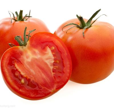 China fresh fresh tomatoes for sale for sale