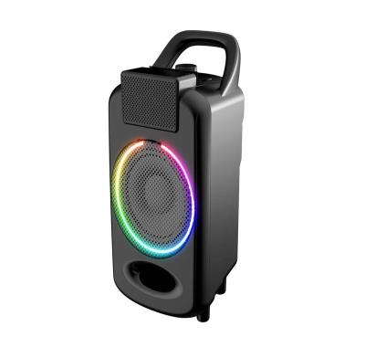 China PORTABLE Portable Speaker With Handle Outdoor BT DJ Active Speaker With RGB Light for sale