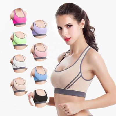 China Breathable Straps Cross Popular Yoga Multicolor Removable Seamless Bra Pads Wholesale Quick Dry Sports Bra for sale