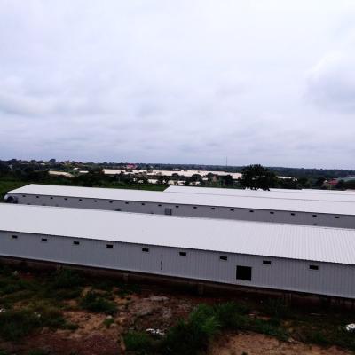 China Poultry Farm Shed Poultry Farm Shed Made By Steel Structure For Broiler for sale