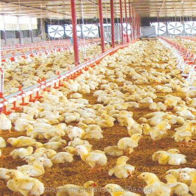 China 2015 New Galvanized Sheet Hot Sale Chicken Farming For Chickens / Broiler With Good Price for sale