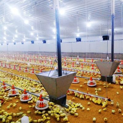 China Save Breeding Cost High Quality Automatic Broiler Poultry Farming Equipment for sale