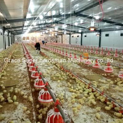 China One Stop Automatic Poultry Farm Builder Factory Supply Broiler Chicken Farm for sale