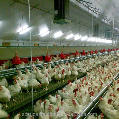 China Broiler Feeding High Quality Automatic Poultry Farm Equipment For Broiler for sale