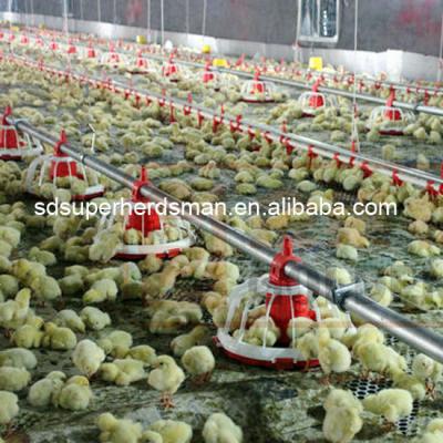 China Full Set Automatic Poultry Feeding And Drinking System For Chicken Customized for sale