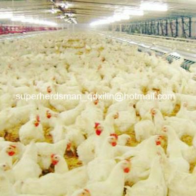 China Full Set Poultry Checking Shed Equipment For Breeder House MRS-Z for sale