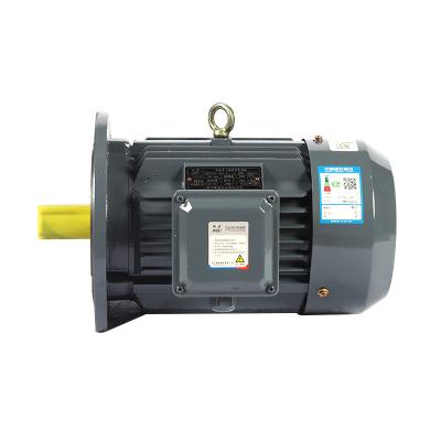 China Drip-proof YE2 series Low noise 380V 0.75KW high efficiency Three phase asynchronous motors for sale