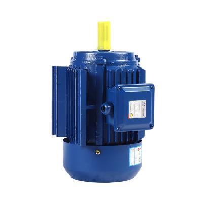 China Drip-proof High quality good price YE4 Series  Single phase three phase ac servo motor electric car engine for sale