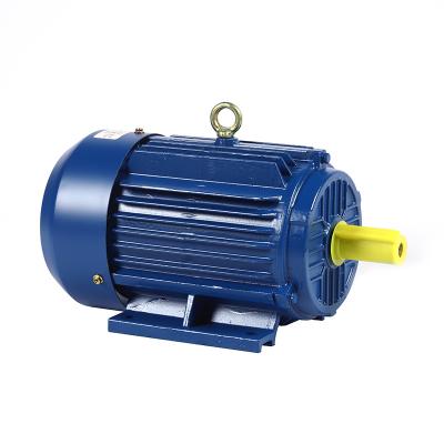 China Drip-proof Wholesale price of Chinese suppliers Good Quality Low Rpm three-phase Synchronous  Motor for sale