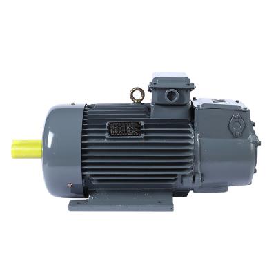 China Drip-proof Variable Frequency Adjustable Speed Electromagnetic Brake Motor YEJVF-80M1-4 High Efficiency 0.55kw Asynchronous Motor IE 2 50hz for sale