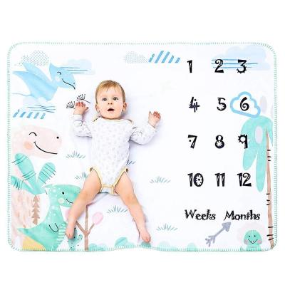 China Minky Fleece Photography Months Weeks Years Years Baby Milestone Waterproof Newborn Soft Monthly Blanket for sale