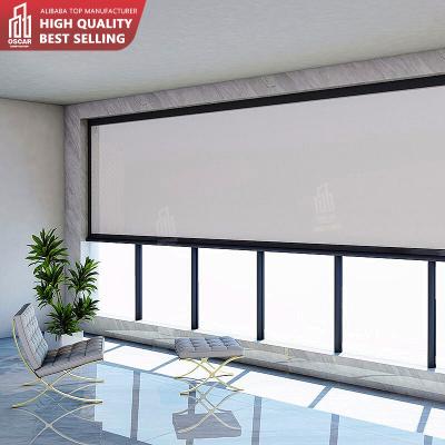 China Waterproof Windproof Screen Track UV Protection Motorized Roller Shutter Zipper Outdoor Blinds For Fabric for sale