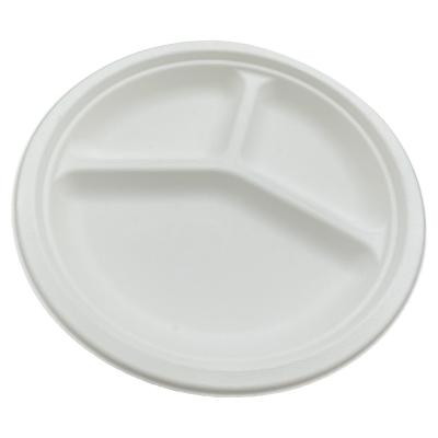 China 2021 Amazon Top Selling 100% Biodegradable Sugar Cane Bagasse Sugar Cane Paper Pulp Plate for sale