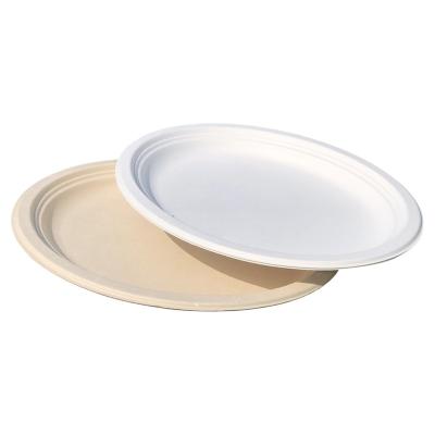 China Unique Hot Selling Biodegradable Sugarcane Bagasse Modern Design Dishes Tableware 12 Inch Dinner Dishes for sale