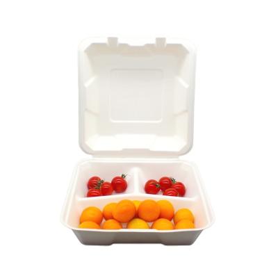 China Food Non-Plastic Clamshell Disposable Food Containers/Plastice 3 Compartment/Food Free Compostable Boxes for sale