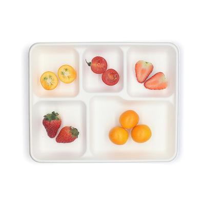 China Traditional Wholesale Food Packaging Box Eco Friendly Disposable Food Trays for sale