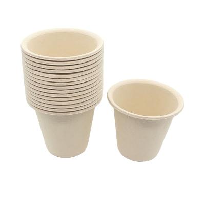 China Factory sale various biodegradable disposable paper tea cups bamboo fiber disposable tea cup for sale