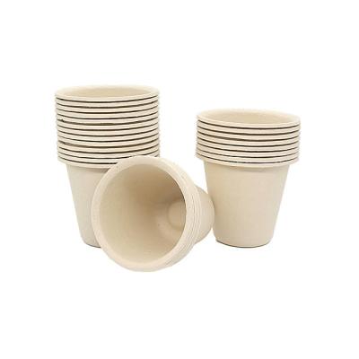 China Professional Wholesale Bamboo Fiber Disposable Coffee Cup Biodegradable Juice Cup Manufacturing for sale