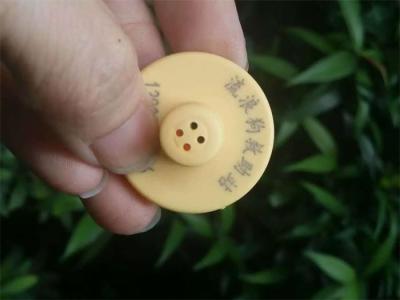 China LF 125Khz RFID Animal Ear Tag Passive EM4305 Customized Size In Animal Breeding for sale