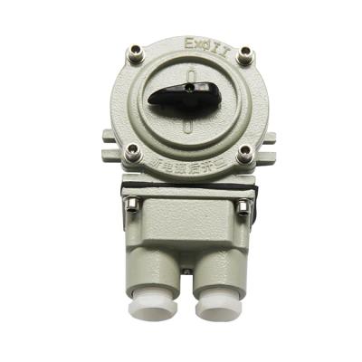 China Corrosion Resistant Dustproof Waterproof Surface Mount Switch 2 Poles SW-10 Waterproof Switch IP65 for sale