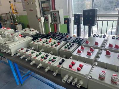 China AC220/380V 2MM Steel Plate Exposion proof Control Panels For Safe Electrical Systems for sale