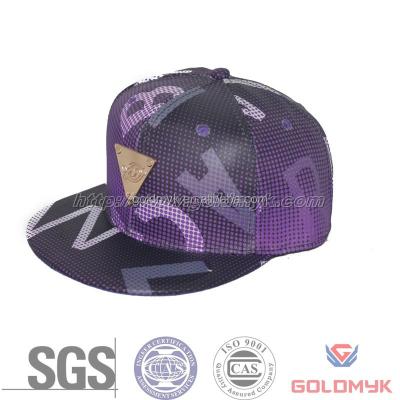 China Common good price hiphop hat, purple hiphop hat, SGS ISO 9001 hiphop hat for sale