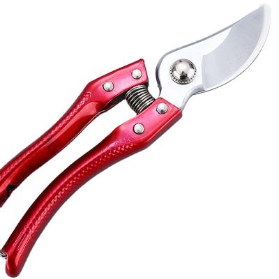 China Wholesale High Quality Non-Slip Handle Stainless Steel Grape Scissors Herb Pruners Branch for sale