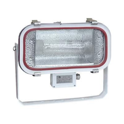 China HIGH QUALITY MARINE HALOGEN LAMP STAINLESS STEEL 500W 1000W FLOOD SPOT LIGHT TG67 for sale