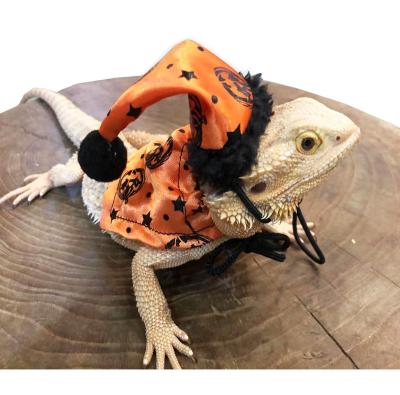 China Christmas Viable Hat Lizard Skin Halloween Pet Skin Wing Traction Belt Lizard Climbing Rope Walking Pet for sale