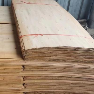 China Modern cheap eucalyptus core veneers for sale in China for sale