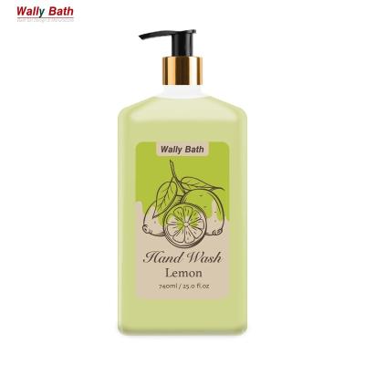 China Basic Cleaning Factory Sale 740ml Hand Wash Anti-bacterial Cruelty Free Eco-friendly Plant Extraction hand wash liquid for sale