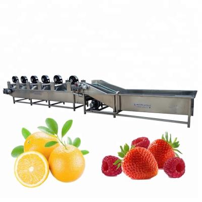 China Energy Saving High Efficiency Food Washing Machine / And Vegetable Washing Machine for sale