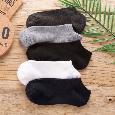 China Breathable Knocks Fashionable Mens Sports White Cheap Cotton Ankle Socks No Show Sock for sale