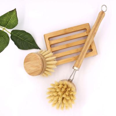 China Sustainable Natural Round Head Round Brush Kitchen Dish Brush Washing Dish Brush Natural Wood Dish Brush for sale