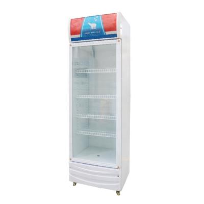 中国 Single-temperature Display 279L Freezer Glass Door Hot Selling Direct Cooling Commercial Freezer For Sale 販売のため