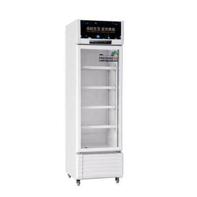 Cina 2021 Single-Temperature 327L Refrigerator Freezer Commercial Direct Cooling Visi Cooler Glass Door in vendita