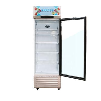 China Good Quality Large Space Freezers Upright Vertical Refrigerator Display Single Door Freezer for sale