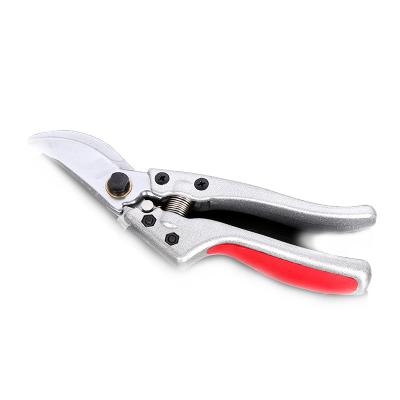 China Beak Factory Price Garden Shears Tree Pruner for Pruning Scissors Branch Ratchet Gardening Shears for sale