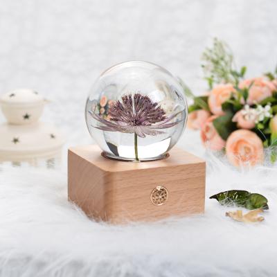 China China Factory Christmas Decoration Resin Wood Clear Ball Decorating Gift Night Light Loudspeaker Wooden Bass Music Box Speaker for sale