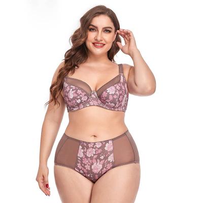 China Viable underwear women plus size bra set sexy print plus size bra set gather on torres plus size bra set women for sale