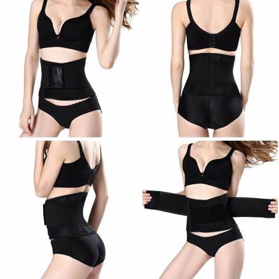 China High Elasticity Women Waist Trainer Belt Women Antibacterial Wear Waist Shaper Body Shaper Multiple Skeletons for sale