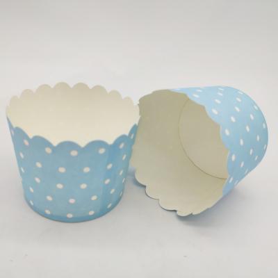 China Various Design Disposable Cup Roll Mold Oilproof Paper Baking Cup for sale