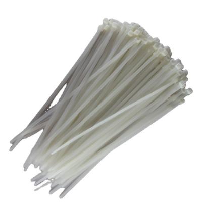 China After containment high quality different wires length self-locking cable tie/nylon plastic cable ties for sale for sale