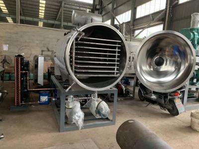 China High Efficiency Automatic Production Line ZG-5 Vacuum Freeze Dryer For Food for sale