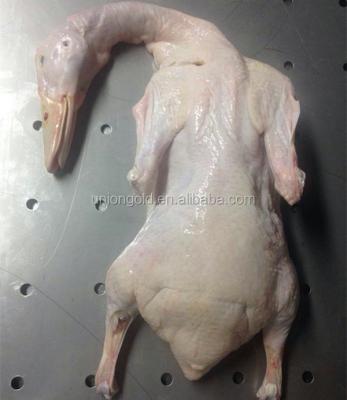 China Low-CARB HALAL MEAT Frozen Whole Duck Whole Dressed for sale