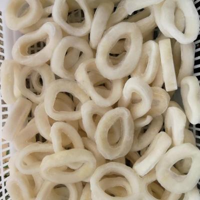 China Squid Nutritious Frozen Ring for sale