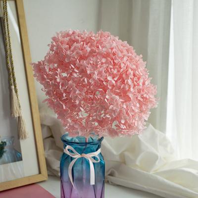 China Natural Plants Beautiful Anna Hydrangea Leaflet with Full Connecting Rod for Flower Arrangement Home Decoration for sale