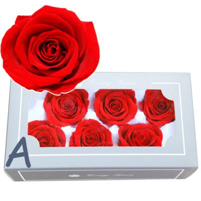 China Japan and South Korea Style Eternal Flower Eternal Rose A Grade Natural Fresh Cut Preserved Rose Flower Gift for sale